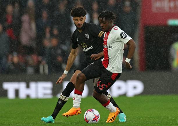 领域还是生 领域还是生