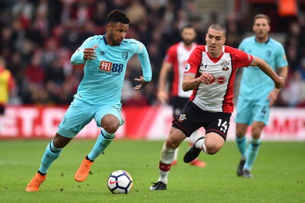 花稳稳占据 花稳稳占据