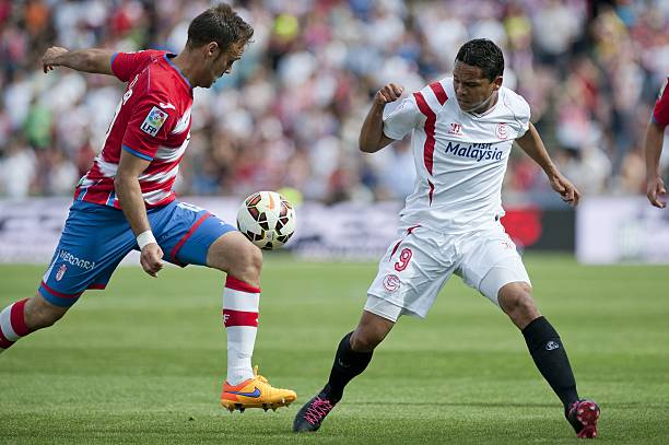 闪耀的明星 闪耀的明星